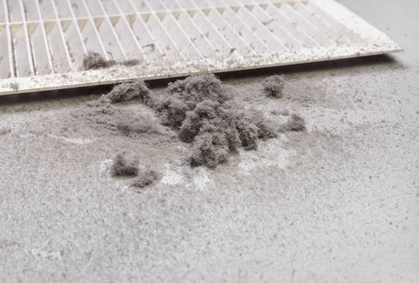 Best Best Air Duct Cleaning Company  in Maple Valley, WA