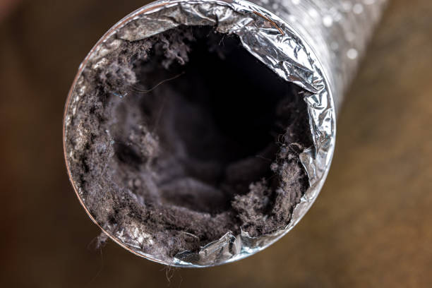 Professional Airduct Cleaning in Maple Valley, WA